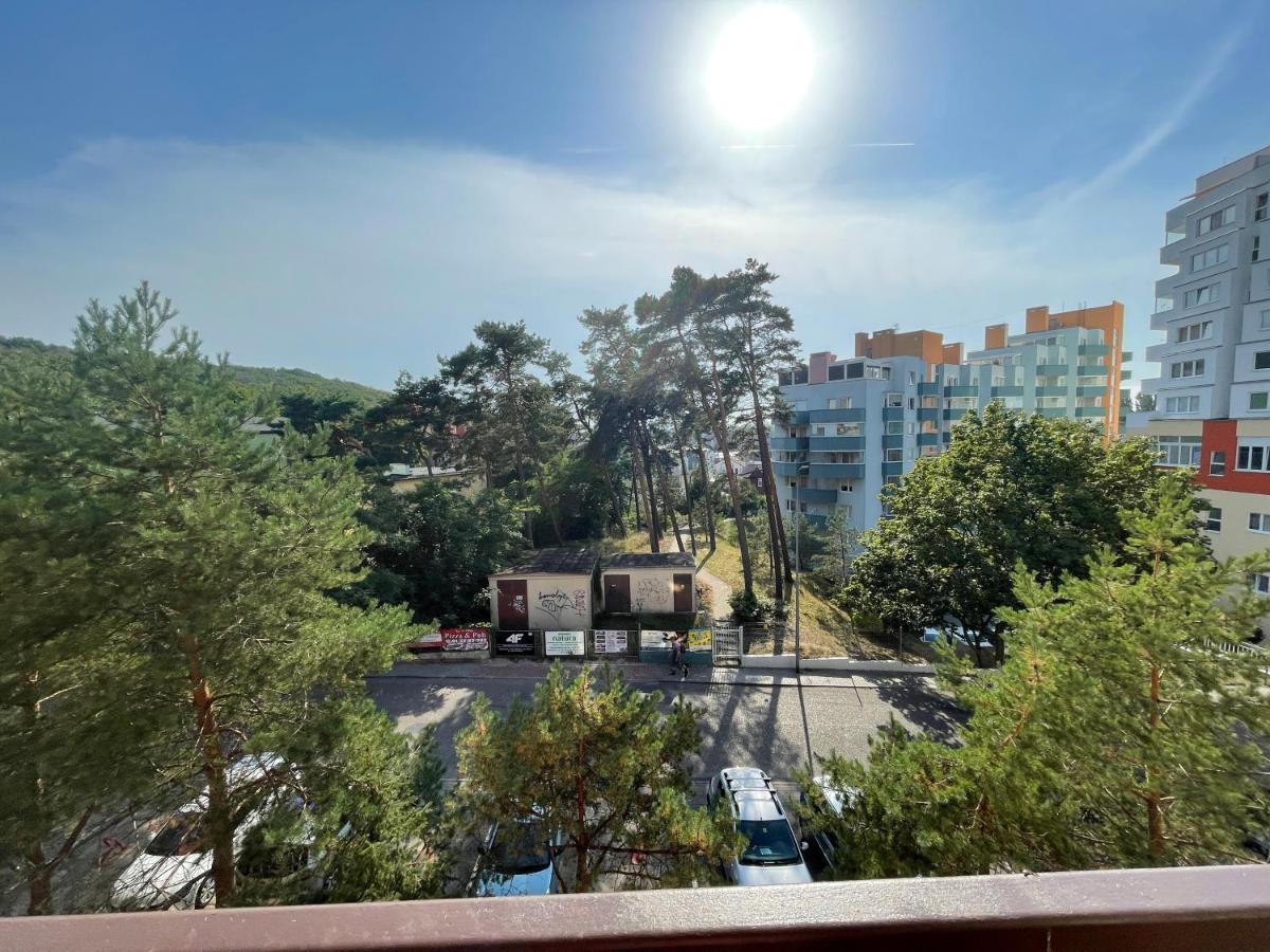 Wolin-Travel Apartament Dom Przy Parku Мендзиздроє Екстер'єр фото